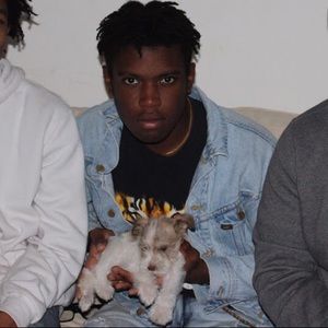 Meet your Posher, Dante